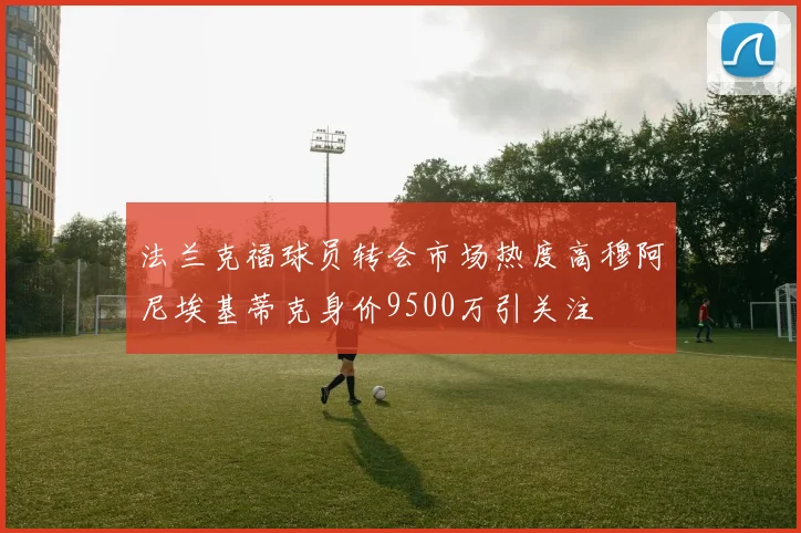法兰克福球员转会市场热度高穆阿尼埃基蒂克身价9500万引关注