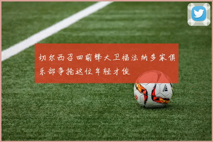 切尔西召回前锋大卫福法纳多家俱乐部争抢这位年轻才俊
